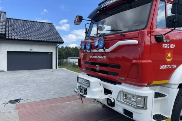 Interwencja OSP Dobieszczyzna: usuwanie gniazda owadów błonkoskrzydłych w Lubini Małej