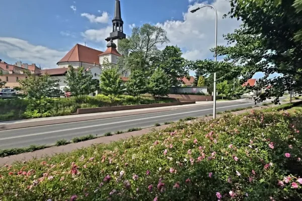 Jarocin w różach – spacer po mieście pełnym kwitnących ogrodów