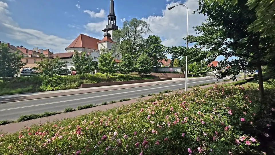Jarocin w różach – spacer po mieście pełnym kwitnących ogrodów