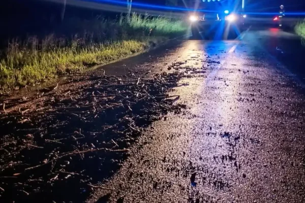 Drzewo na jezdni w Dobieszczyźnie – interwencja OSP