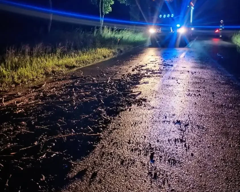 Drzewo na jezdni w Dobieszczyźnie – interwencja OSP