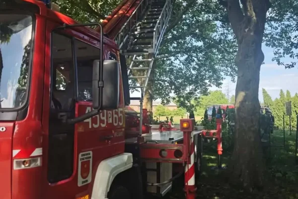 Zwisający konar drzewa w Mieszkowie – interwencja OSP Żerków