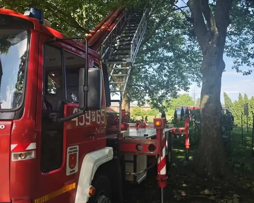 Zwisający konar drzewa w Mieszkowie – interwencja OSP Żerków