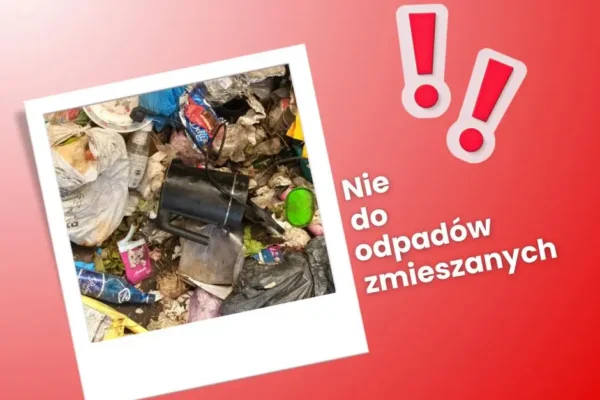 Czajnik w odpadach zmieszanych? To błąd! Sprawdź, gdzie wyrzucać elektroodpady