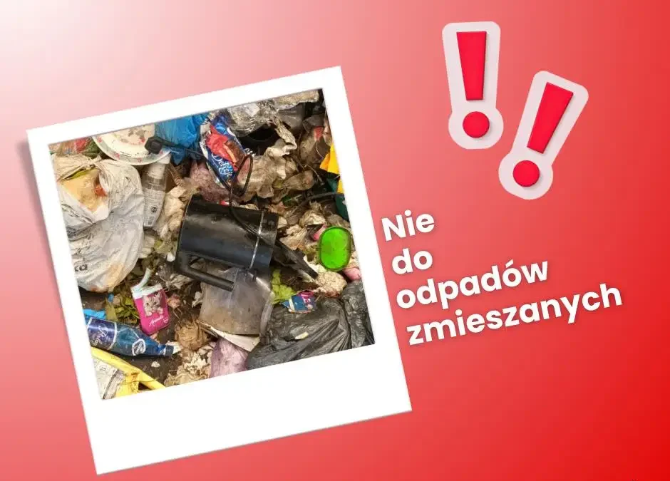Czajnik w odpadach zmieszanych? To błąd! Sprawdź, gdzie wyrzucać elektroodpady