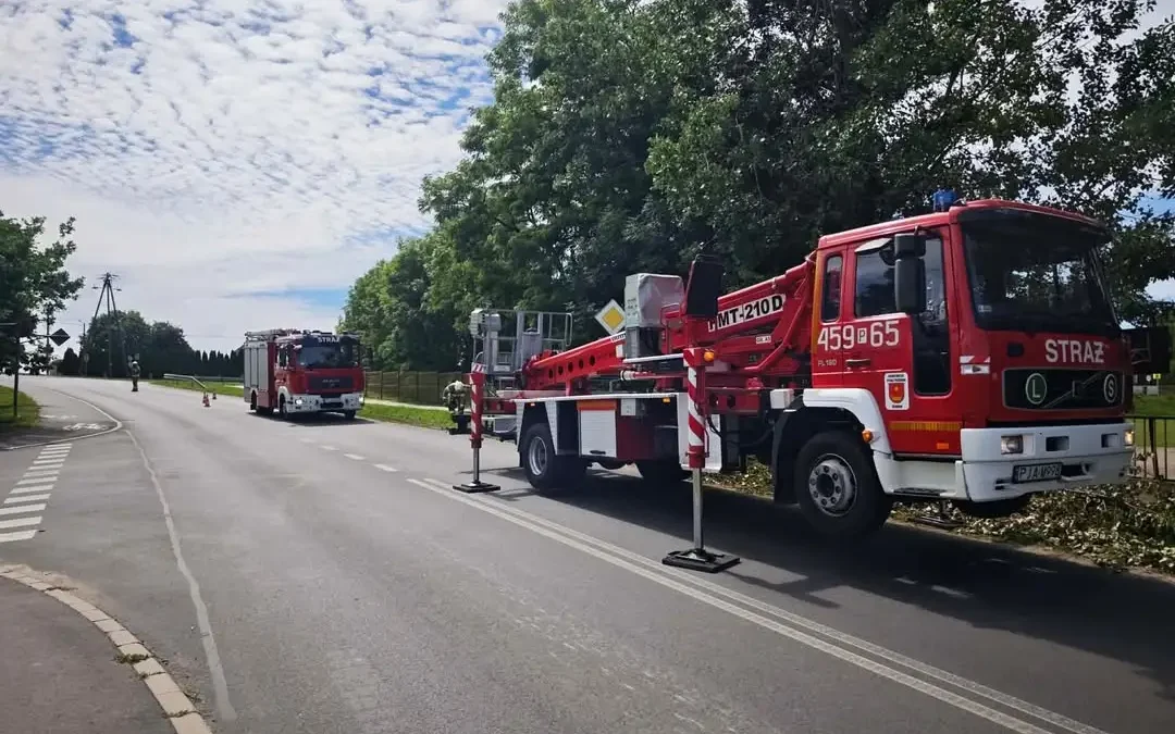 Fałszywy alarm i złamane drzewo – interwencje OSP Żerków 23 czerwca