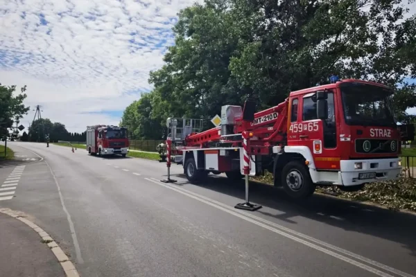 Fałszywy alarm i złamane drzewo – interwencje OSP Żerków 23 czerwca