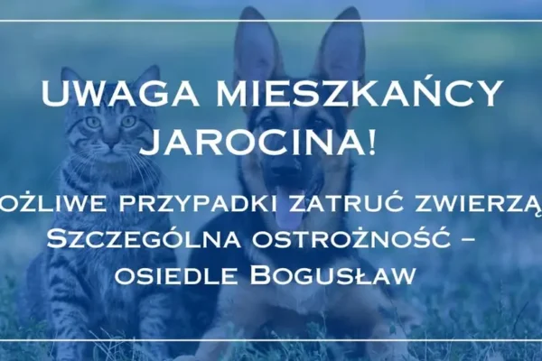Apel do mieszkańców Jarocina o ostrożność w związku z możliwymi przypadkami zatruć psów
