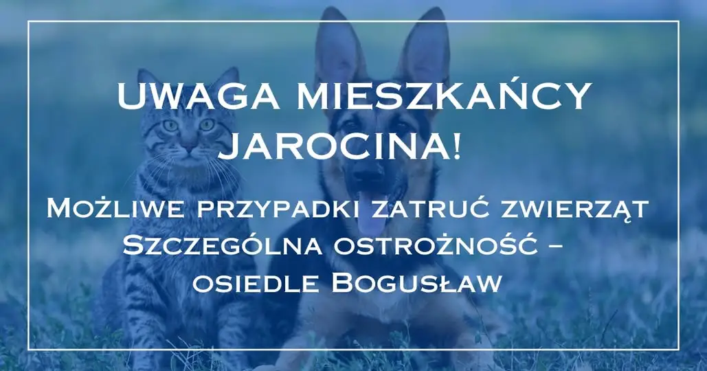 Apel do mieszkańców Jarocina o ostrożność w związku z możliwymi przypadkami zatruć psów