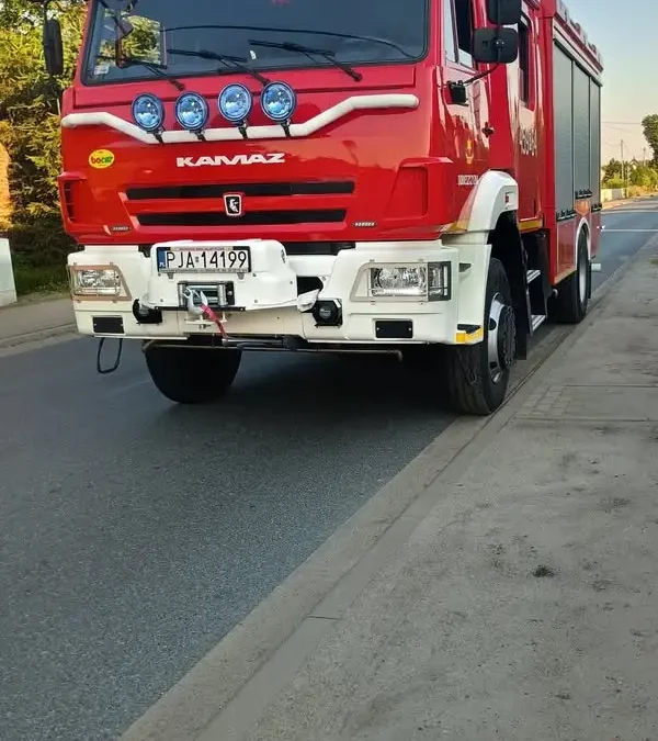 OSP Dobieszczyzna interweniuje w sprawie agresywnych owadów błonkoskrzydłych