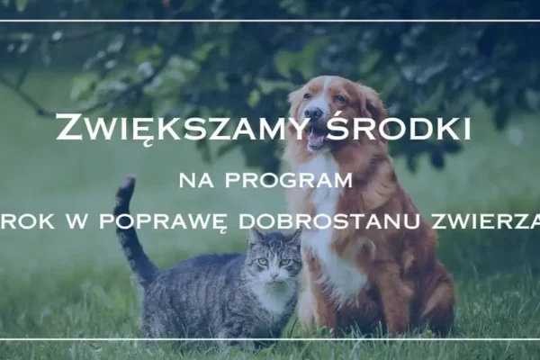 Więcej pieniędzy na sterylizację i czipowanie psów i kotów w Jarocinie