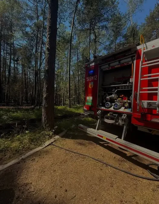 Pożar lasu w Majdanie Golczańskim i Borkach – strażacy walczyli z ogniem