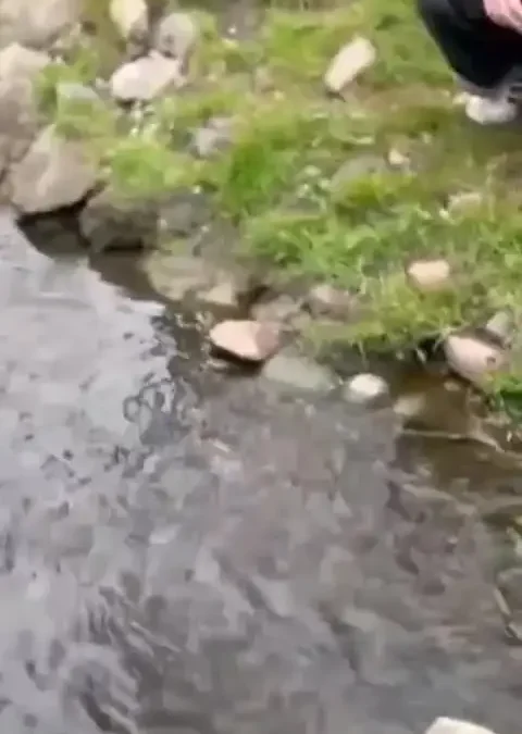 Uczniowie z Jarocina promują OZE w konkursie EkoSzkoła