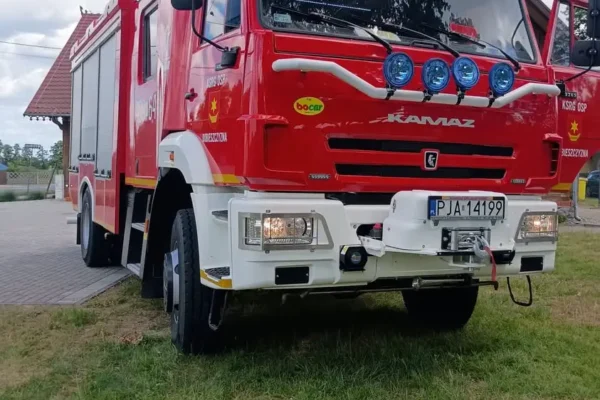 Interwencja OSP Dobieszczyzna w Lubini Małej – agresywne owady błonkoskrzydłe