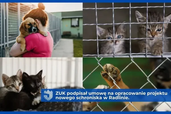 Nowe schronisko dla zwierząt w Radlinie – projekt nabiera tempa