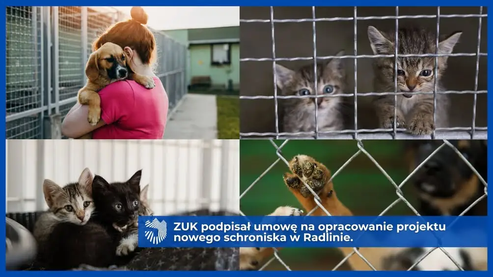 Nowe schronisko dla zwierząt w Radlinie – projekt nabiera tempa