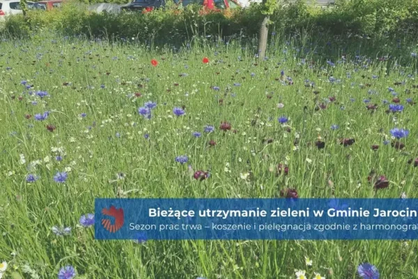 Gmina Jarocin przeznaczy ponad 2,5 mln zł na utrzymanie zieleni w 2026 roku