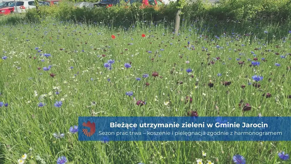 Gmina Jarocin przeznaczy ponad 2,5 mln zł na utrzymanie zieleni w 2026 roku