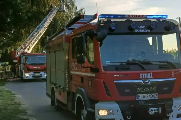 Strażacy usunęli zwisający konar w Dąbrowie
