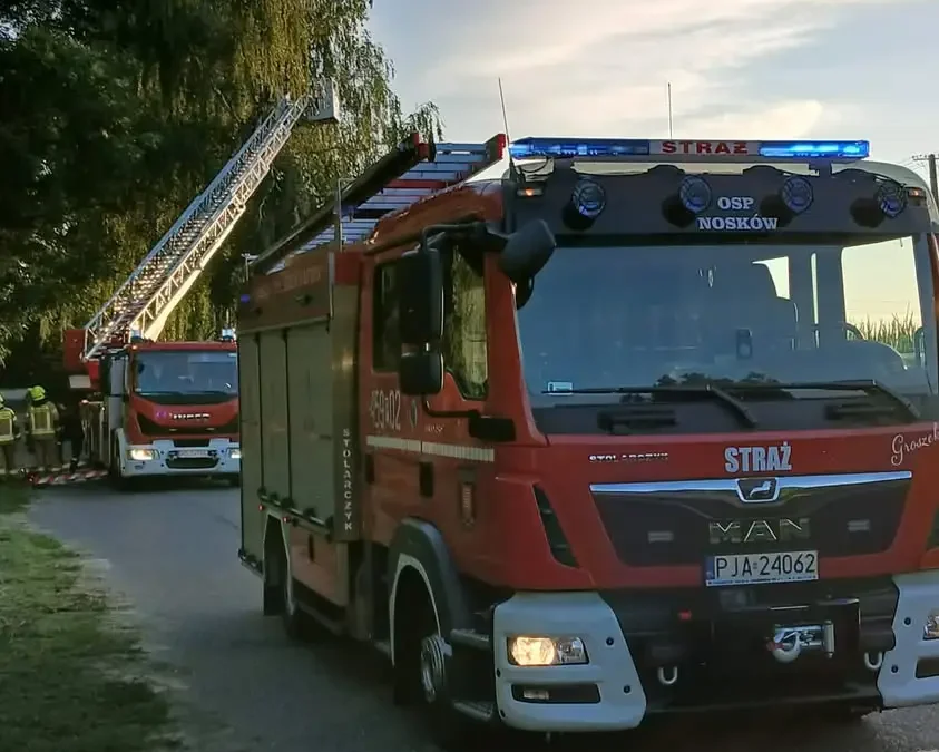 Strażacy usunęli zwisający konar w Dąbrowie