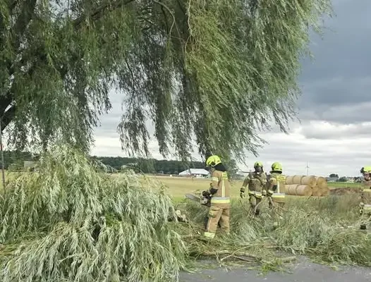 Strażacy z OSP Nosków usunęli powalone drzewo w Noskowie