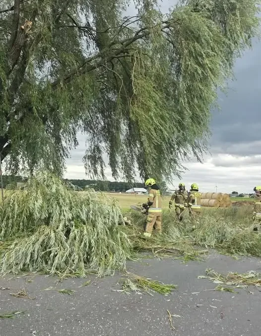 Strażacy z OSP Nosków usunęli powalone drzewo w Noskowie
