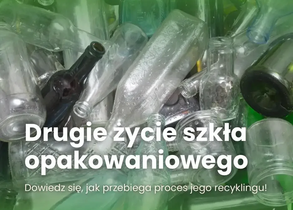 Jak wygląda recykling szkła? Butelka może być przetwarzana w nieskończoność