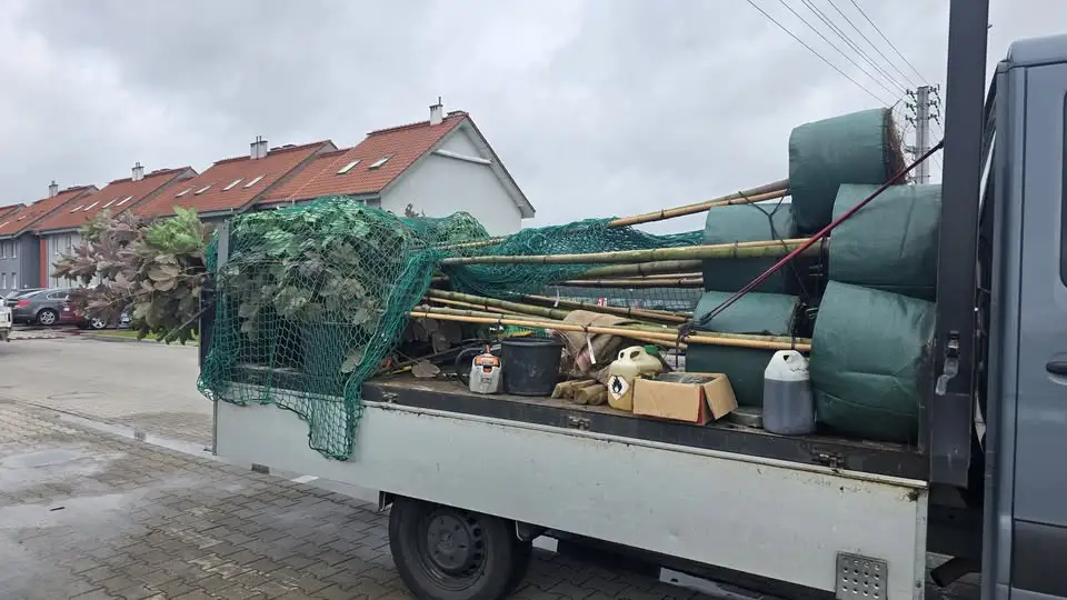 Dzieci nadały imiona nowo posadzonym drzewom w Jarocinie