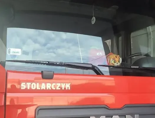 Pożar ścierniska w Mniszewie – strażacy z Żerkowa i okolic w akcji