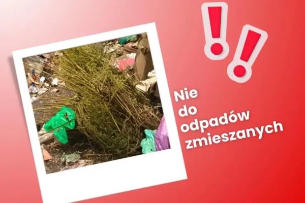 Odpady zmieszane pod lupą – gdzie wyrzucać odpady zielone?