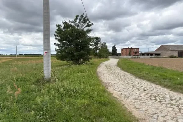 Gmina Żerków odnowiła oznakowanie szlaków turystycznych – 62 km tras gotowych do wędrówek