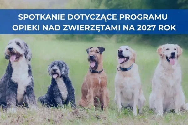 Gmina Jarocin zaprasza mieszkańców do współtworzenia programu opieki nad bezdomnymi zwierzętami