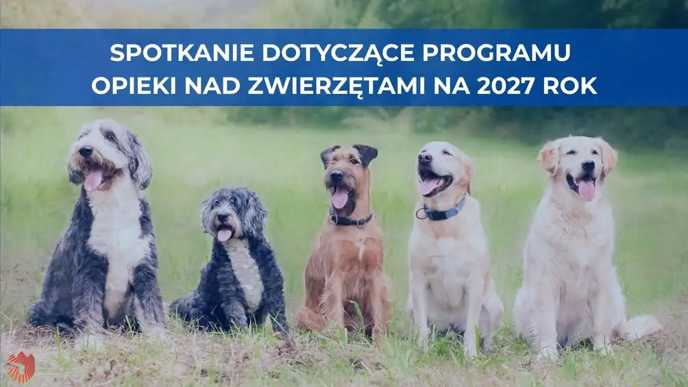 Gmina Jarocin zaprasza mieszkańców do współtworzenia programu opieki nad bezdomnymi zwierzętami