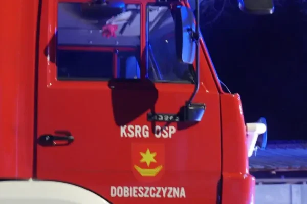 Powalone drzewo na drodze Dobieszczyzna – Grab. Interweniowała OSP Dobieszczyzna